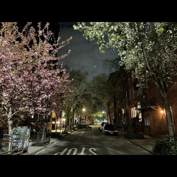 Meet your Posher, Rajavi - Picture 1 of 1